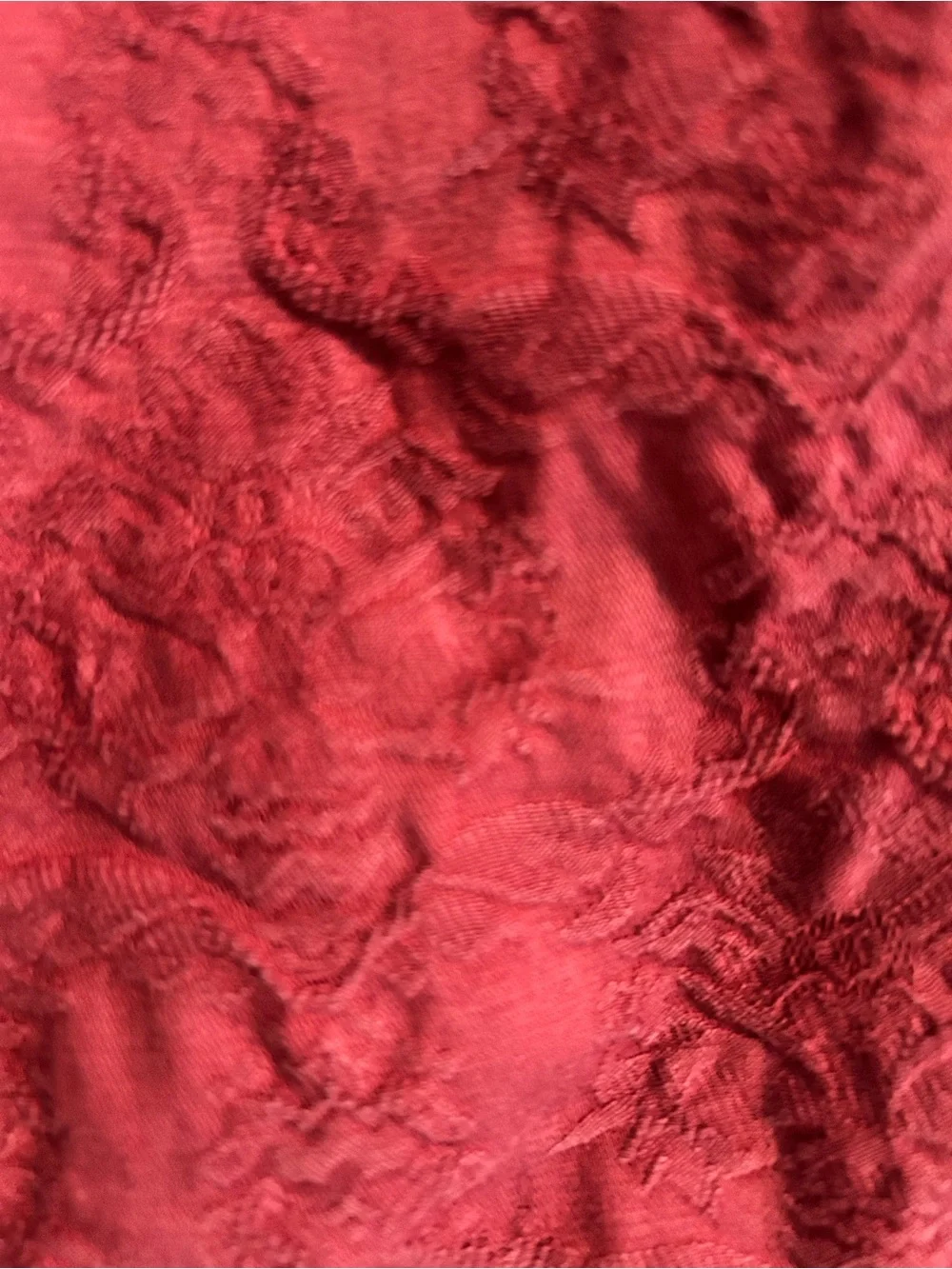 Free People Jacquard Cranberry Red Raised Print Skinny Jeans Size 26